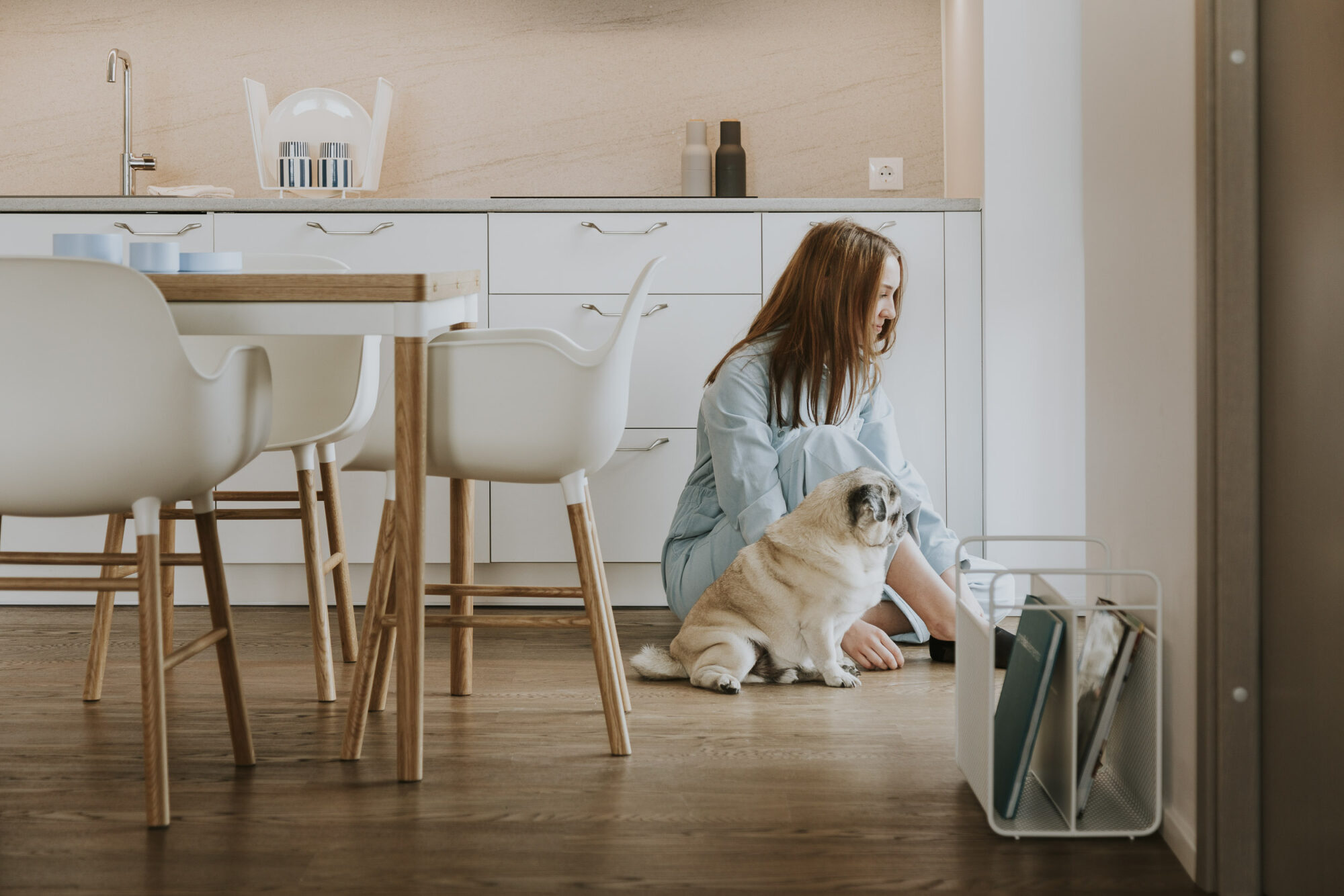 Mājdzīvniekiem draudzīgs dzīvoklis Rīgā